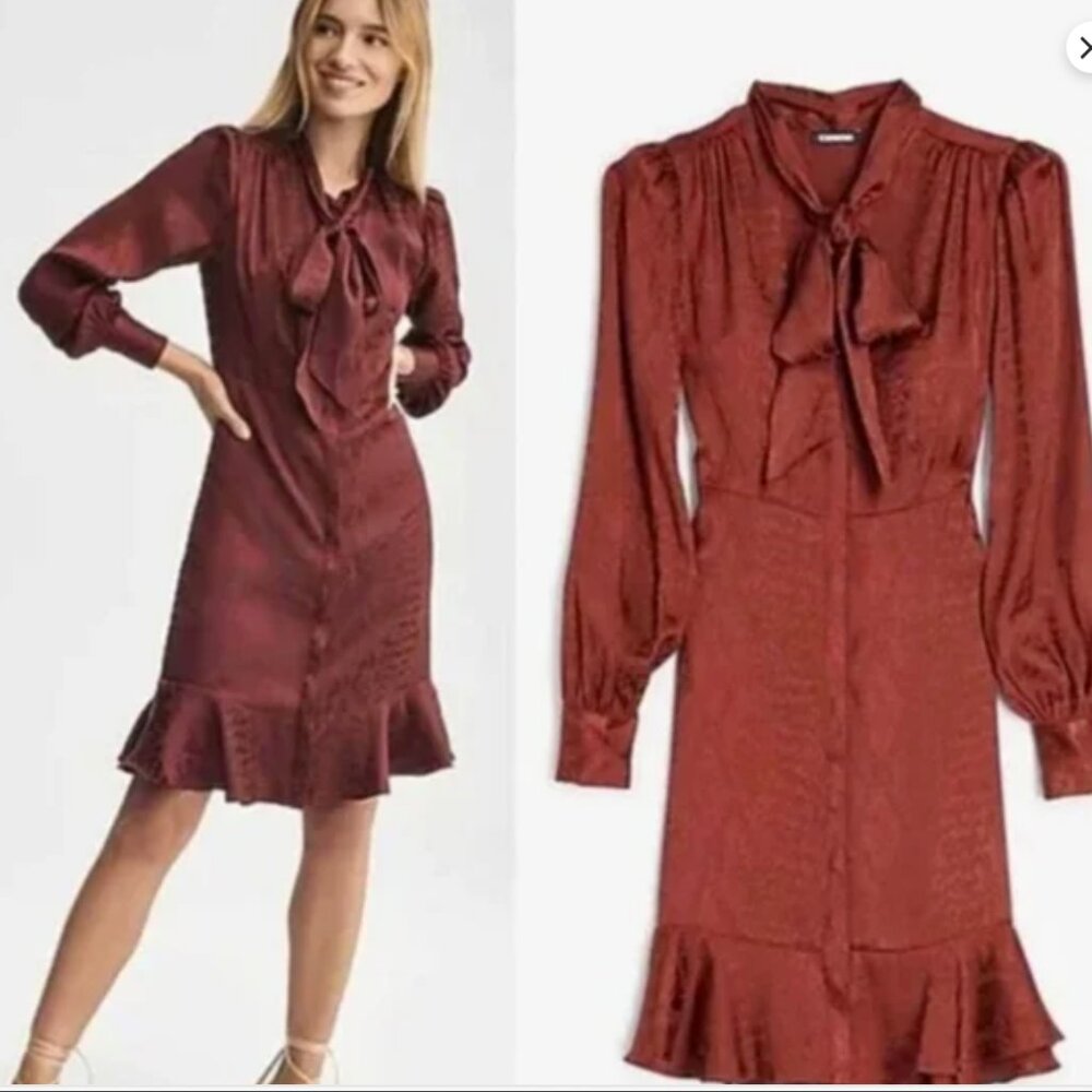 NWT Express Brown Satin Snake Print Dress    Size M